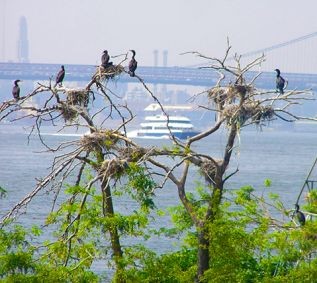 Audobon_1600x480(1)