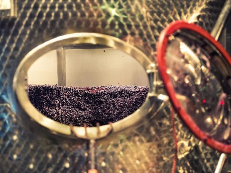 city winery wine 1010