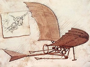 codex-flight-birds