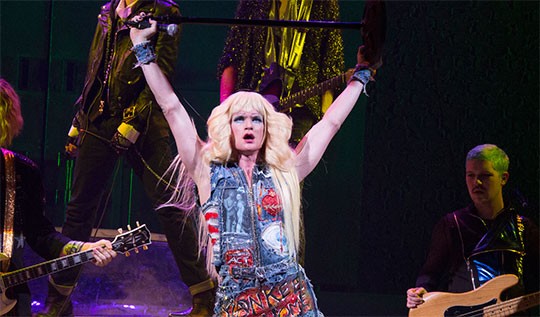 hedwig-540