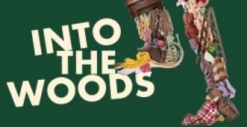 into the woods theater talks nyc