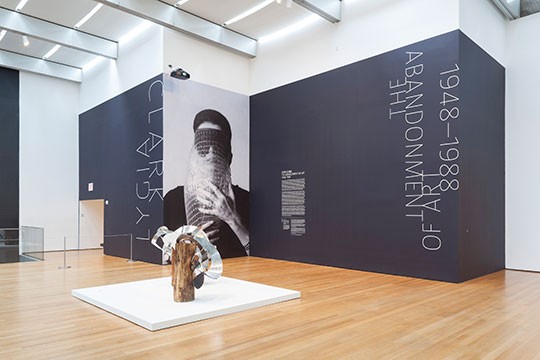 Installation view of Lygia Clark: The Abandonment of Art, 1948-1988 at The Museum of Modern Art. Photo by Thomas Griesel. &copy; 2014 The Museum of Modern Art