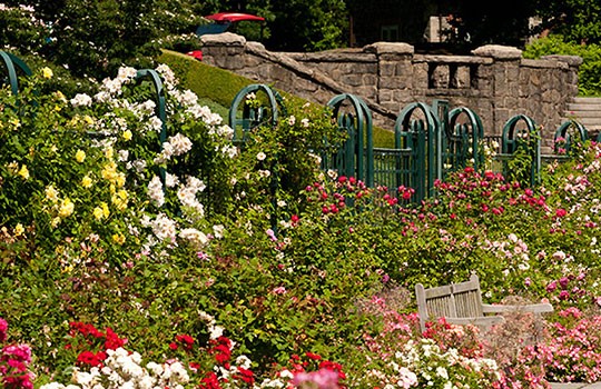 Photo: nybg.org