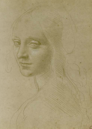 Examine drawings of Leonardo da Vinci at The Morgan Library & Museum.